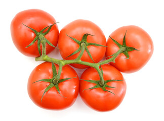 Closeup of tomatoes on the vine isolated on white