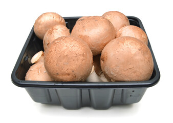 common mushroom in bowl on white