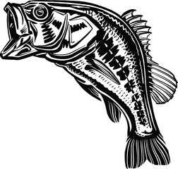 hand drawn vector illustration of the perch fish