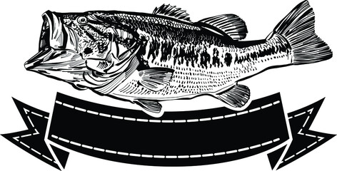 hand drawn vector illustration of the perch fish