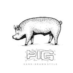 Obraz premium pig vector side view, hand drawn animal illustration
