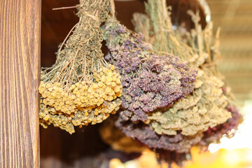 bunch of dried flowers. Hanging bouquets of dried medicinal herbs and flowers. Herbal medicine.