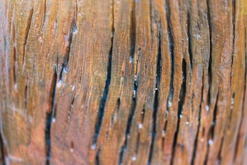 old wooden background