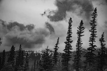 Papier Peint photo autocollant Forêt dans le brouillard mountain landscape with clouds
