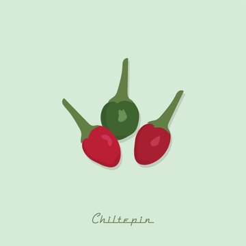 chiltepin peppers