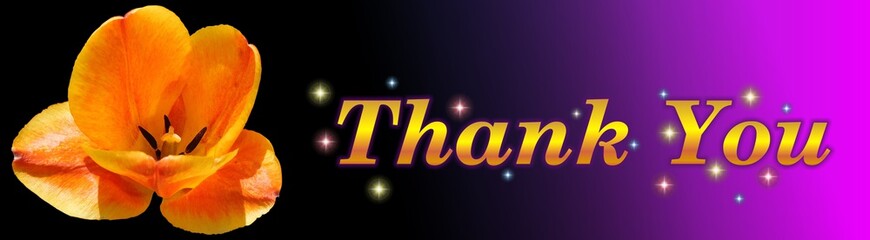 Thank You golden type with orange tulip flower on background