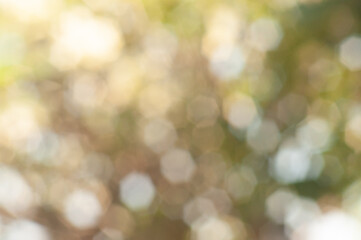 colorful bokeh background