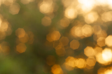 Obraz premium orange bokeh blur the abstract background