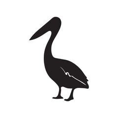 silhouette of bird