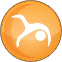 yoga wheel pose variation