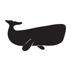 silhouette of sperm whale