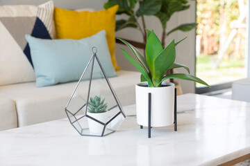 Fashionable living room interior with yellow and blue accents. Green plant pot and picture frame on wall in the room.