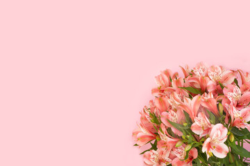 Beautiful bouquet of alstroemeria flowers on pink background.