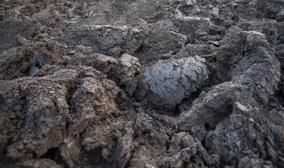 Natural textured basckground of plowed land without plants.