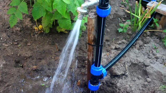 Water runs from the garden tap to the ground