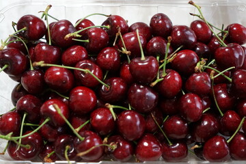 アメリカンチェリー