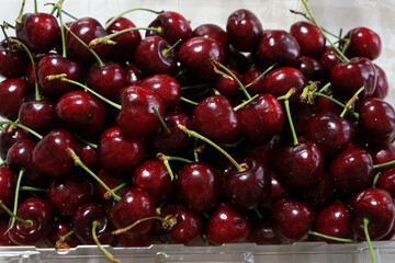 アメリカンチェリー