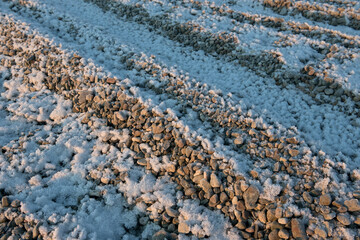 Pebbles covered with hoarfrost and lit by rising sun on the sea shore