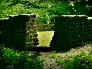 Naklejka premium wall of an historic celtic monument hidden in a German forest
