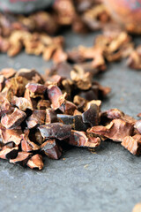 Cocoa beans and cocoa pod on a wooden surface.