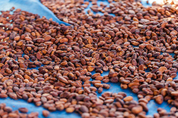 Cocoa beans and cocoa pod on a wooden surface.