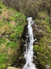 waterfall in the forest