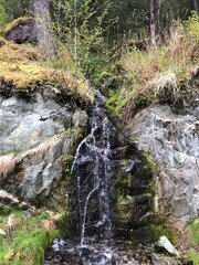 waterfall in the woods
