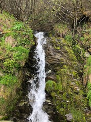 waterfall in the forest