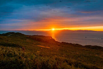 sunset on the top of a mountain covered with grass and meadow flowers