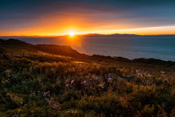 sunset on the top of a mountain covered with grass and meadow flowers