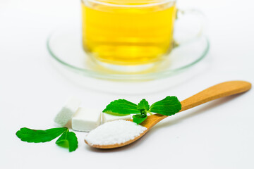 Stevia leaf on white