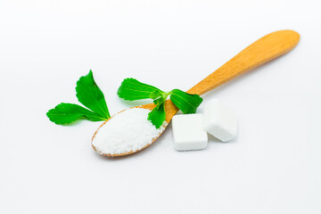 Stevia leaf on white