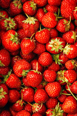 lots of strawberries close up