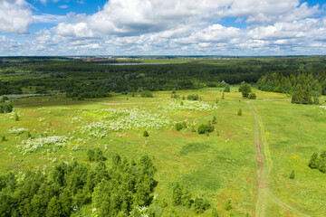 Fototapeta premium Aerial view of a country road through fields and woods
