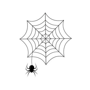 spider hanging on a web, black outline white background, color vector illustration, design, decoration, icon, Halloween holiday