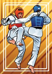 taekwondo athlete in action