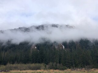 Fototapeta na wymiar fog in the mountains