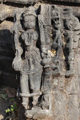 Obraz premium picture of world heritage site polo forest, gujarat, india.