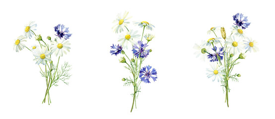 Three watercolor bouquets of daisies and cornflowers on a white background .For congratulations, invitations, anniversaries, weddings, birthday