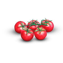 tomatoes on a branch