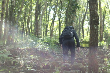 man in forest hiking