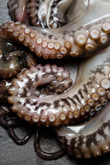 Seafood, close-up parts of raw octopus ready for preparing, view from above © dariazu