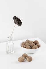 still life Walnuts in a bowl