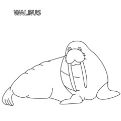 Black and white vector illustration for coloring book. Cartoon walrus. Underwater world.