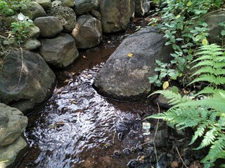water and stones