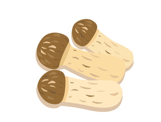 きのこ9　マツタケ　まつたけ　松茸