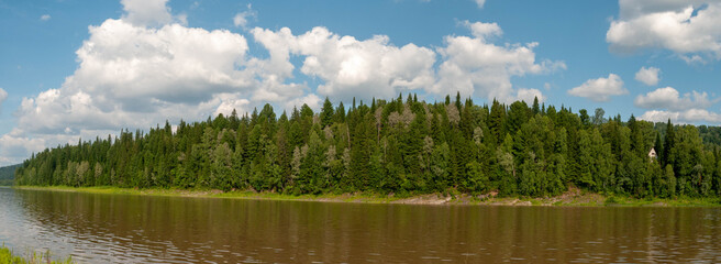 Fototapeta premium summer landscape with lake