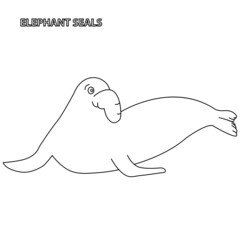 Black and white vector illustration for coloring book. Cartoon elephant seals.