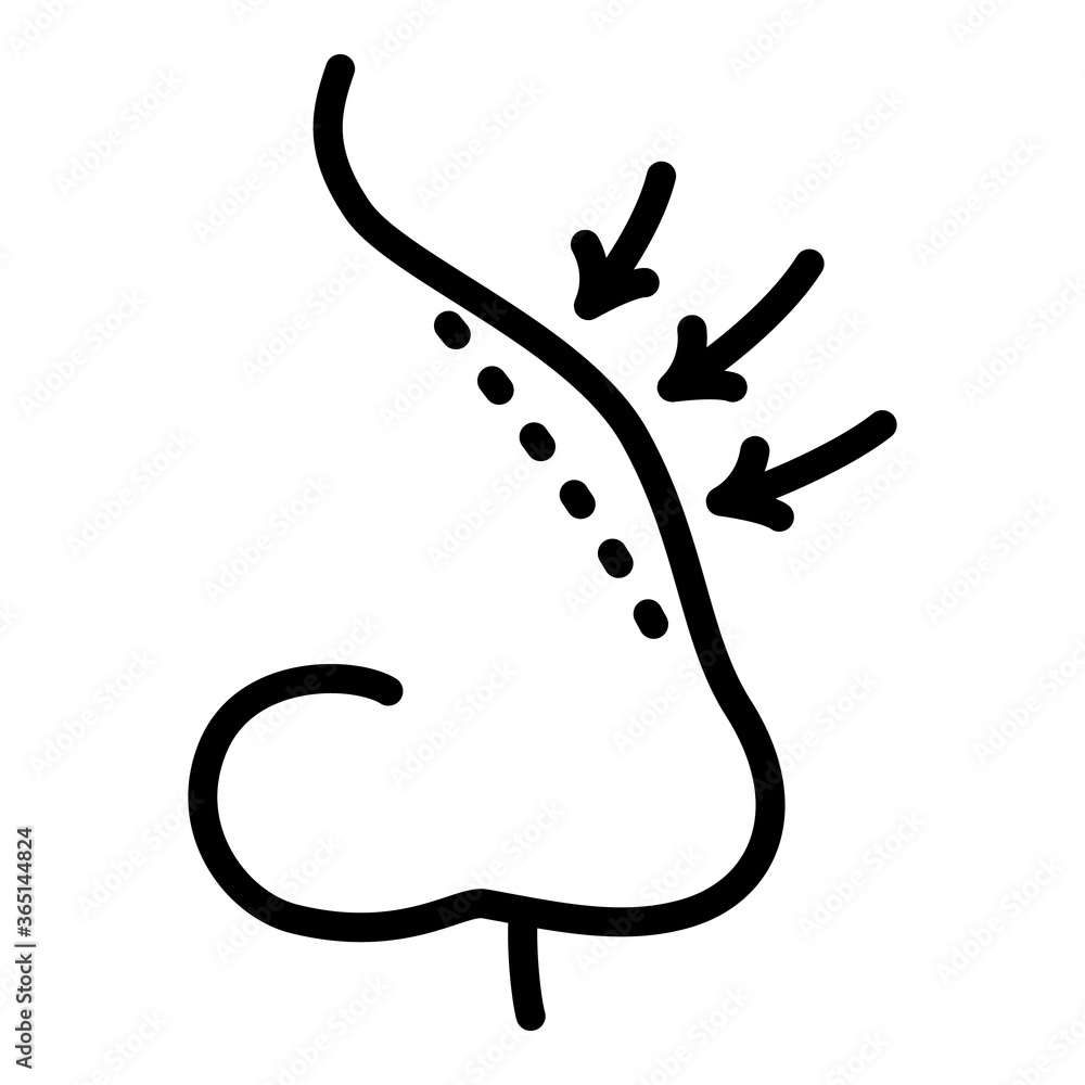 Poster Nose correction icon. Outline nose correction vector icon for web design isolated on white background