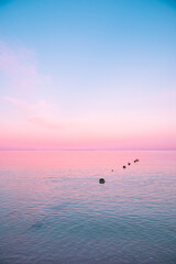 pink sunset over the sea - 365147013